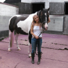 P and I